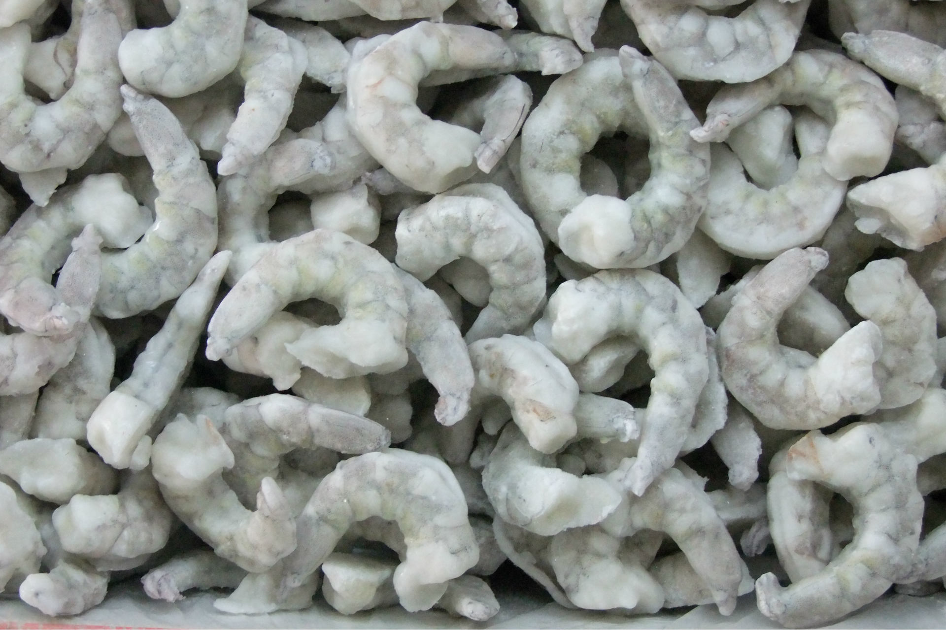 海鲜批发 虾仁 速冻鲜虾仁 冷冻水晶虾仁海米炒菜酒店食材