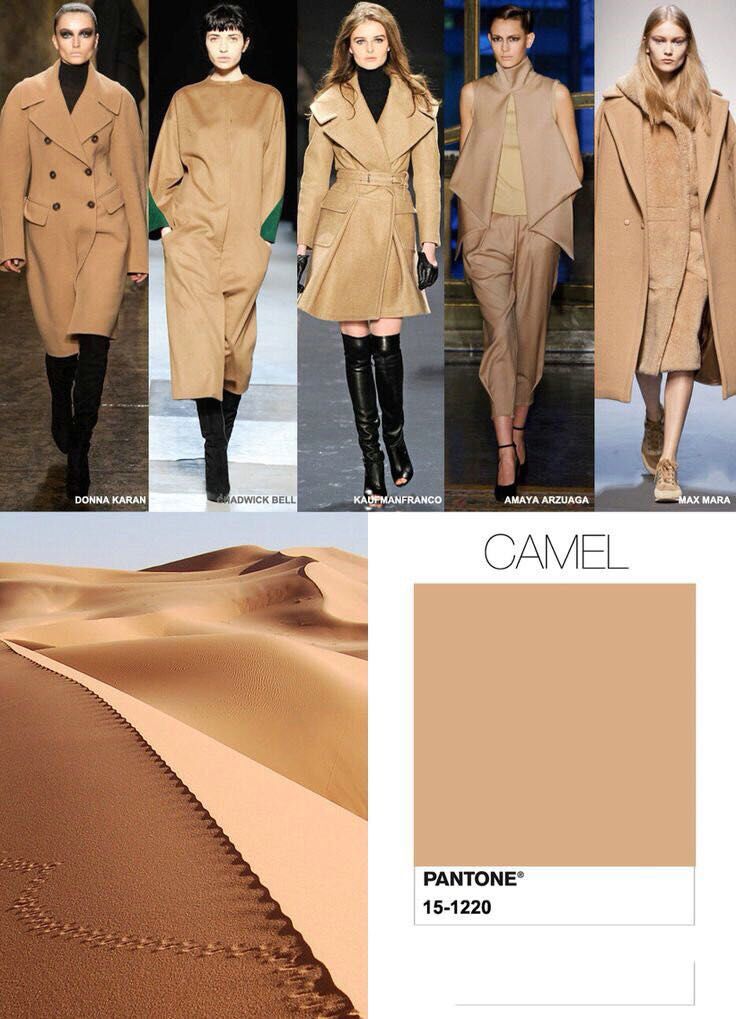 第七十六期:美洛分享——2016年家居时尚色彩十大流行色