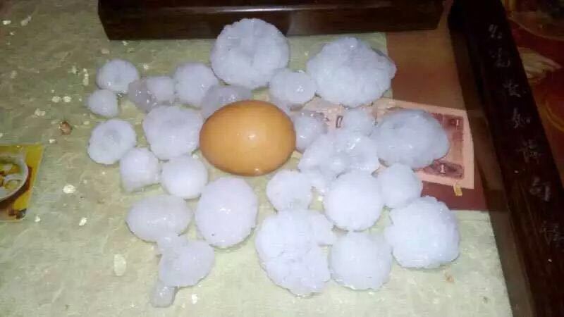 洛阳市遭遇大冰雹,大如鸡蛋啊