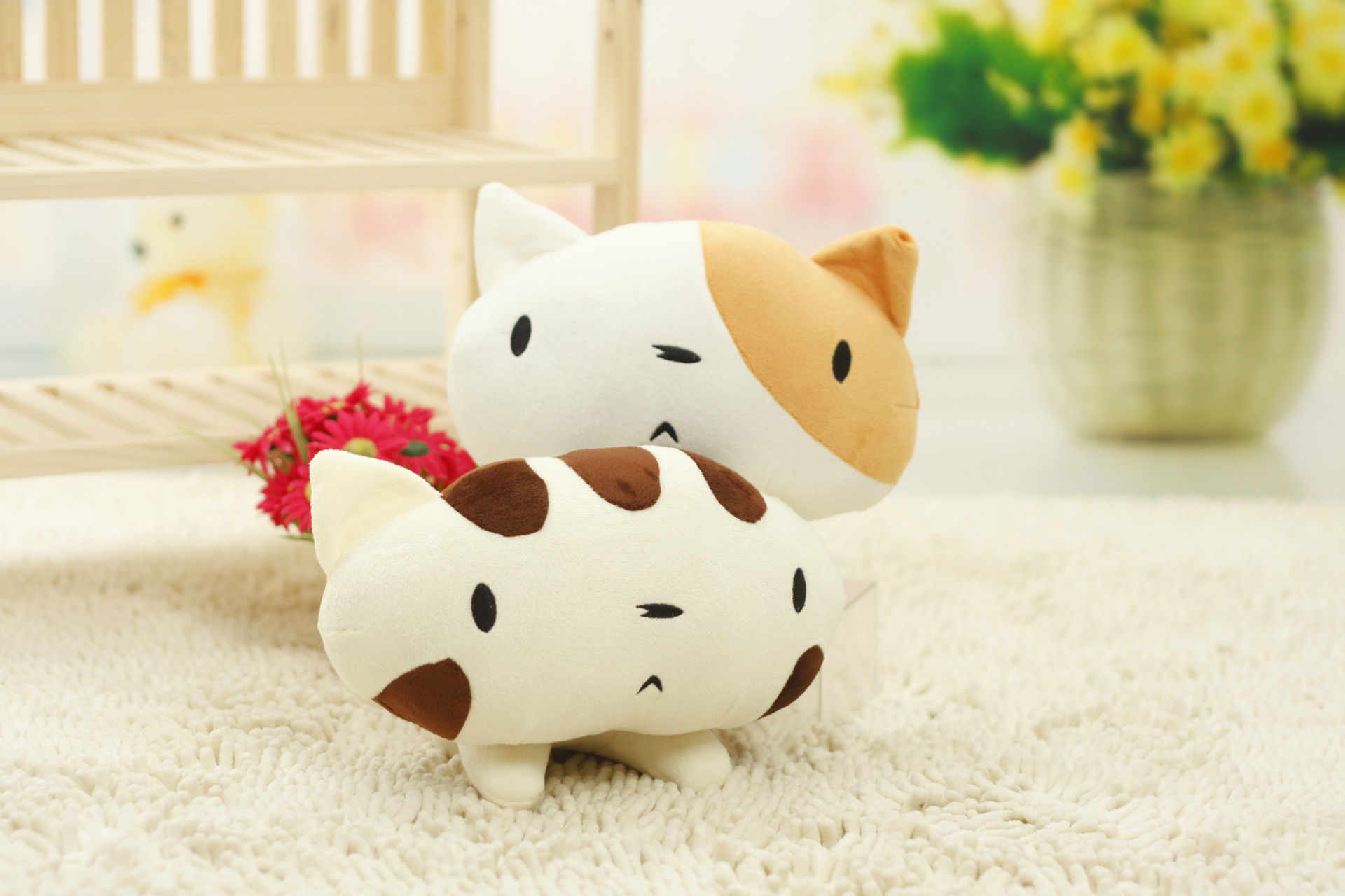 猫小贱公仔 外贸可爱卡通猫 大脸猫娃娃 毛绒玩具批发 大脸猫公仔