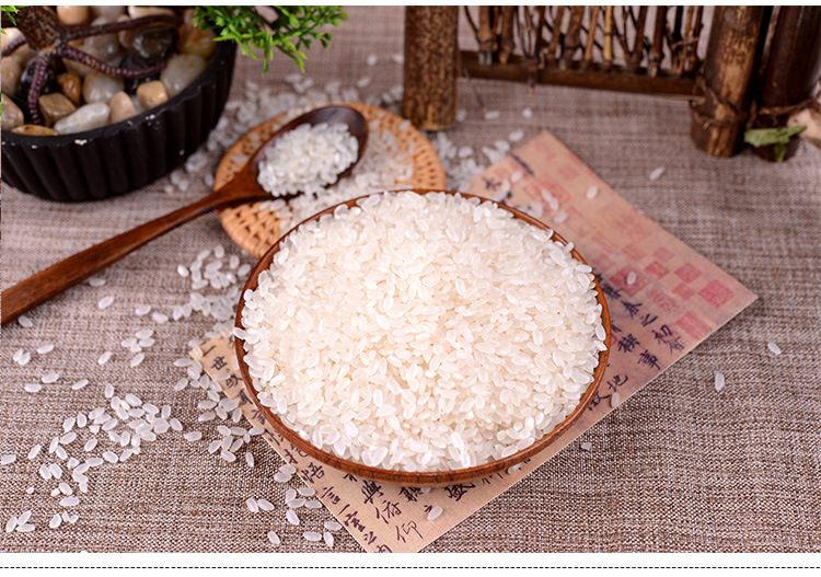 长粒香 供应新米辽星绿色优质 东北产地厂家直供 高档酒店特供-大米