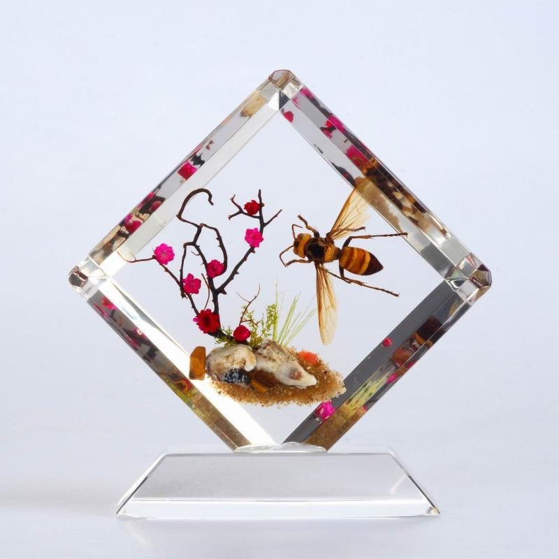 透明亚克力制作动物标本展示盒 水晶制蜜蜂标本意境展示台