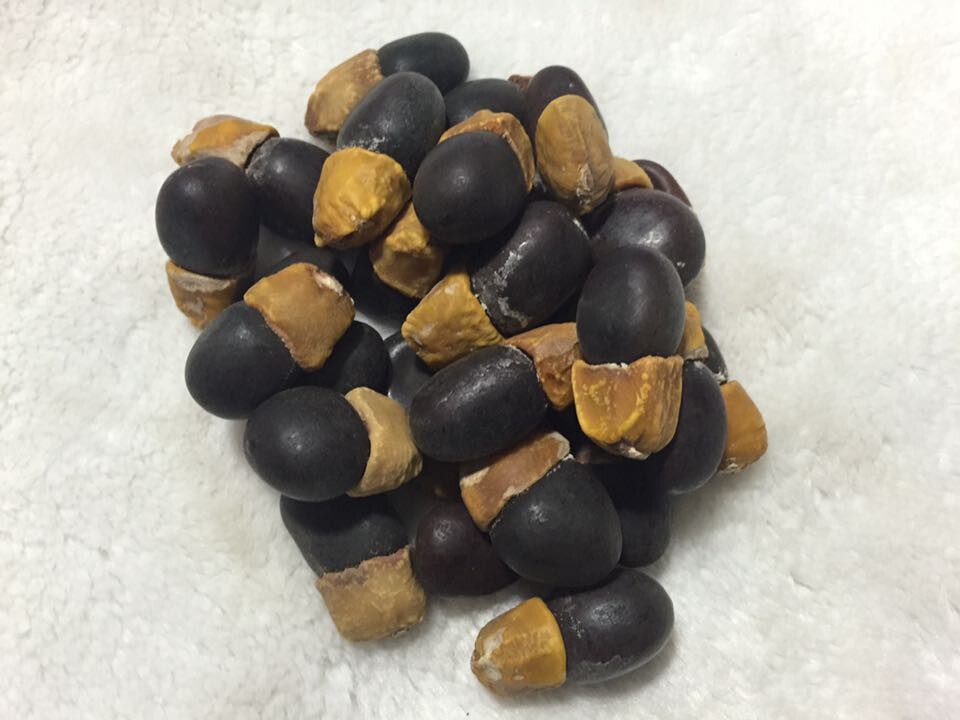 天然 缅茄菩提子 佛珠 原籽 雕刻原料 免邪菩提子 去坏籽.