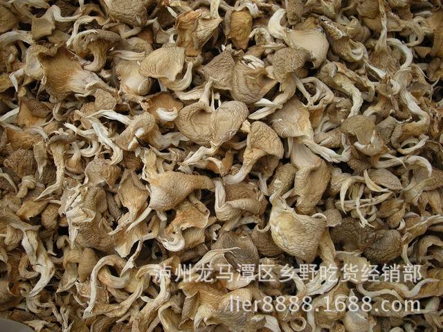 0品种真姬菇菌产地四川库存级别当年货类型干货品名姬菇菌货号553种类