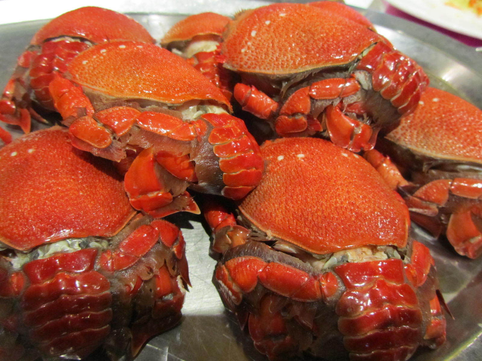 冷冻海鲜 直供老虎蟹 贵妃蟹 酒店 料理食材