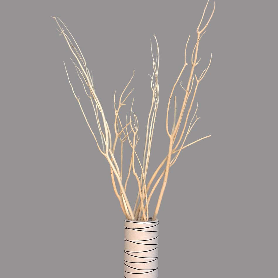 天然树枝三叉木 艺术干花落地干支装饰橱窗 客厅玄关隔断创意干枝