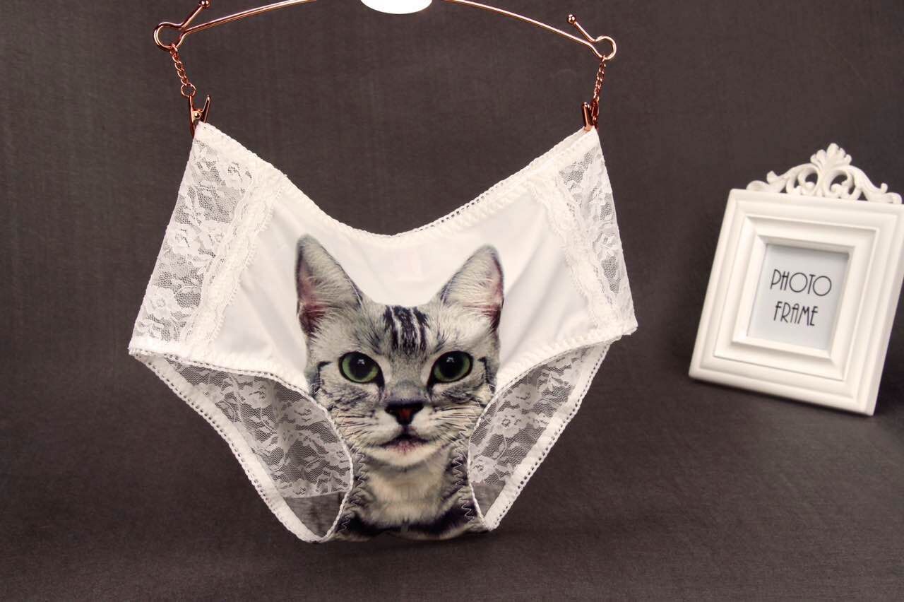 蕾丝猫裤 3d猫 外贸韩版塑身网纱厂家直销 性感透明蕾丝内裤