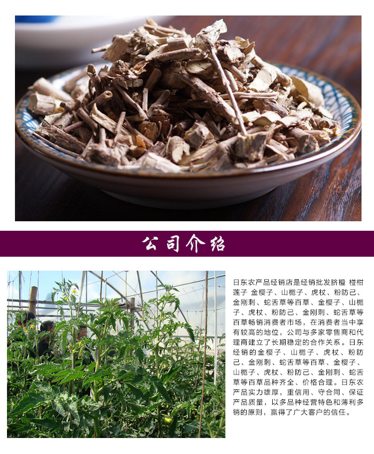 批发草药材白马骨六月雪 健脾利湿路边荆满天星 本棵保药含量