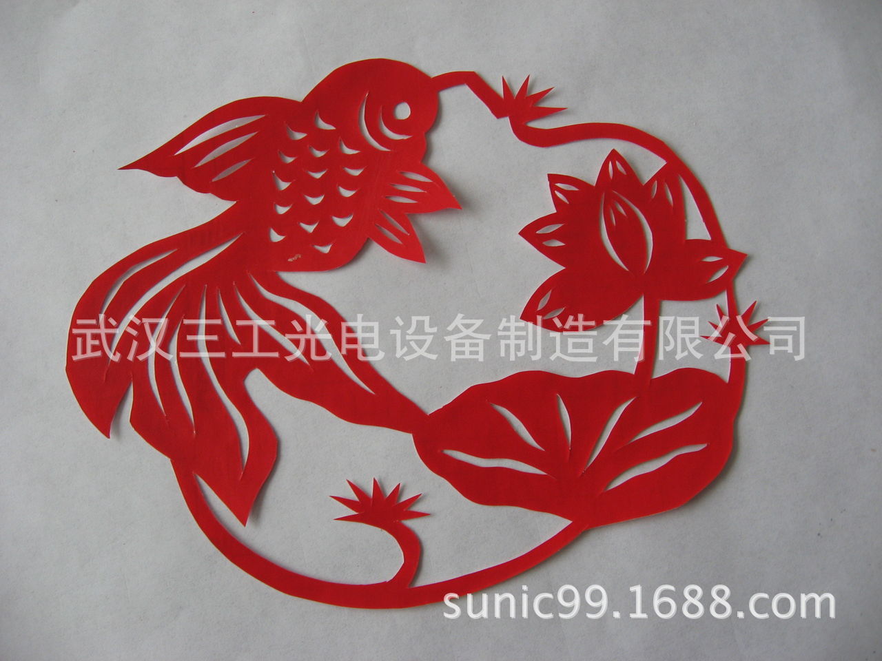 1952343590_414729552