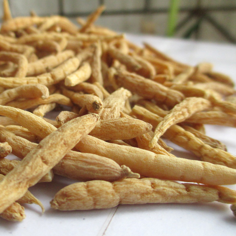 太子参提取物 太子参皂甙 现货包邮