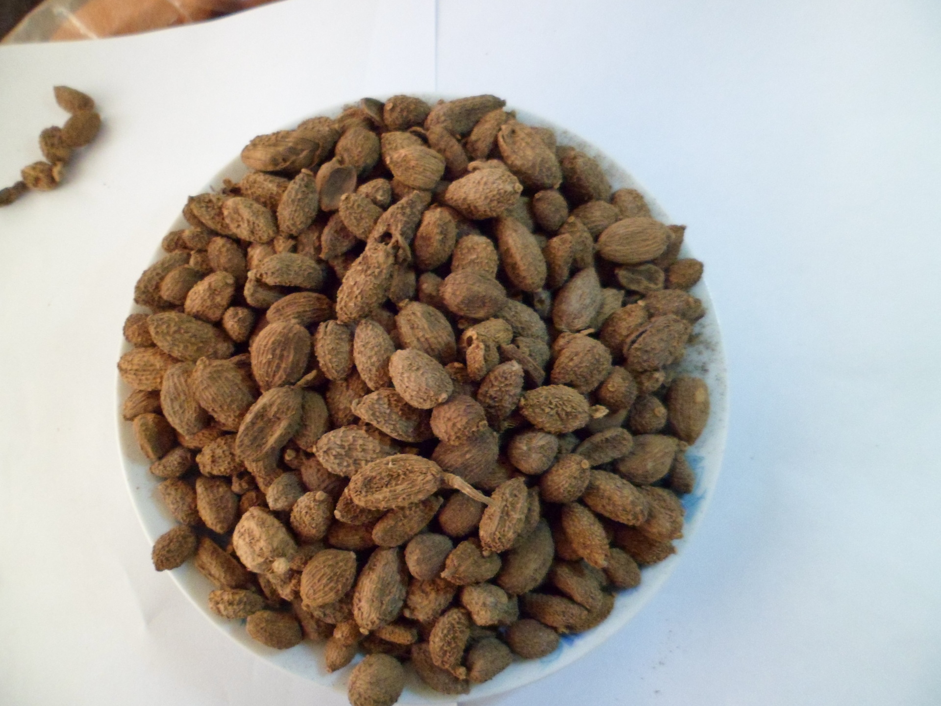 批发:毛砂仁 火锅专用 1kg无硫中药材香料