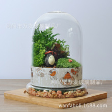 多肉_仿生工艺品_价格:8.0~10.0_多肉促销_低