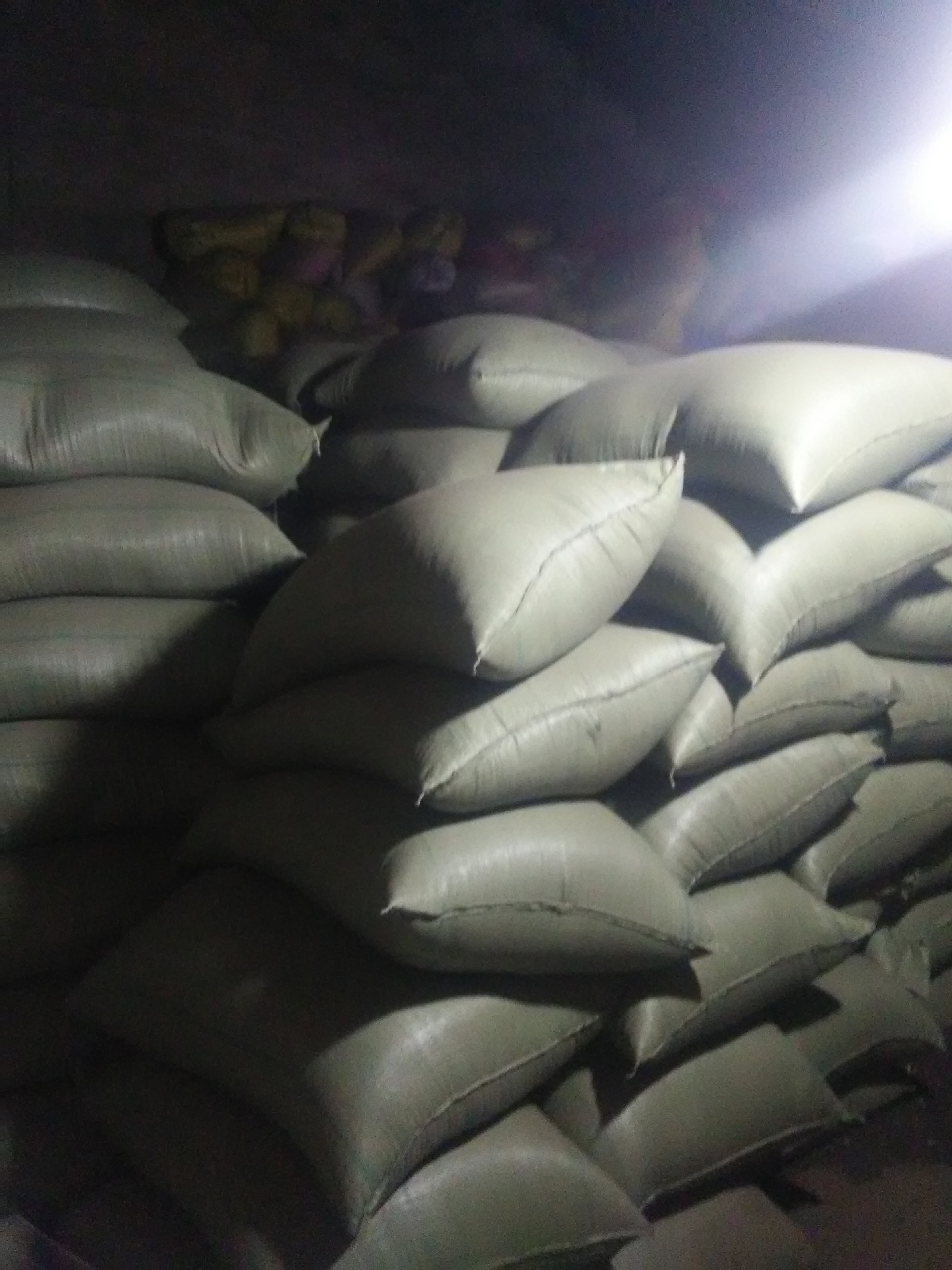 2016年安徽本地油菜籽供应安徽.河南.江西.重庆.湖南.