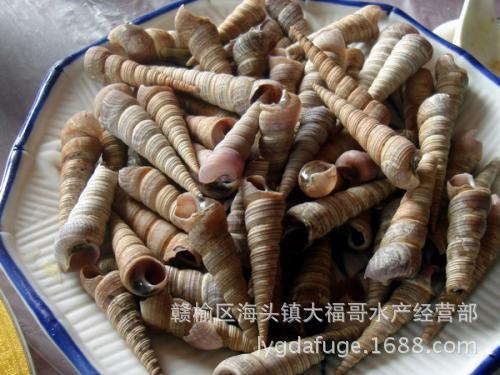 海螺脑子图片_海螺脑子图片供应商_海螺脑子