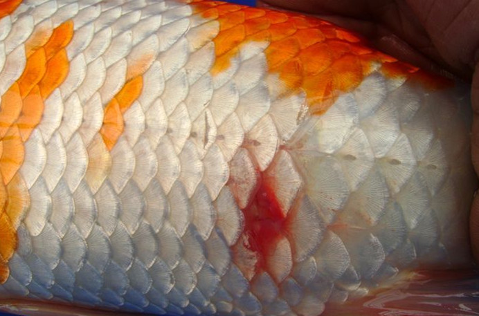 隆**的个人主页-阿里巴巴1688.com