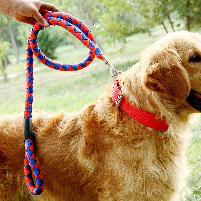 四股宠物牵引带 丙纶四股栓狗绳子带项圈 四股织带编 尼龙宠物绳