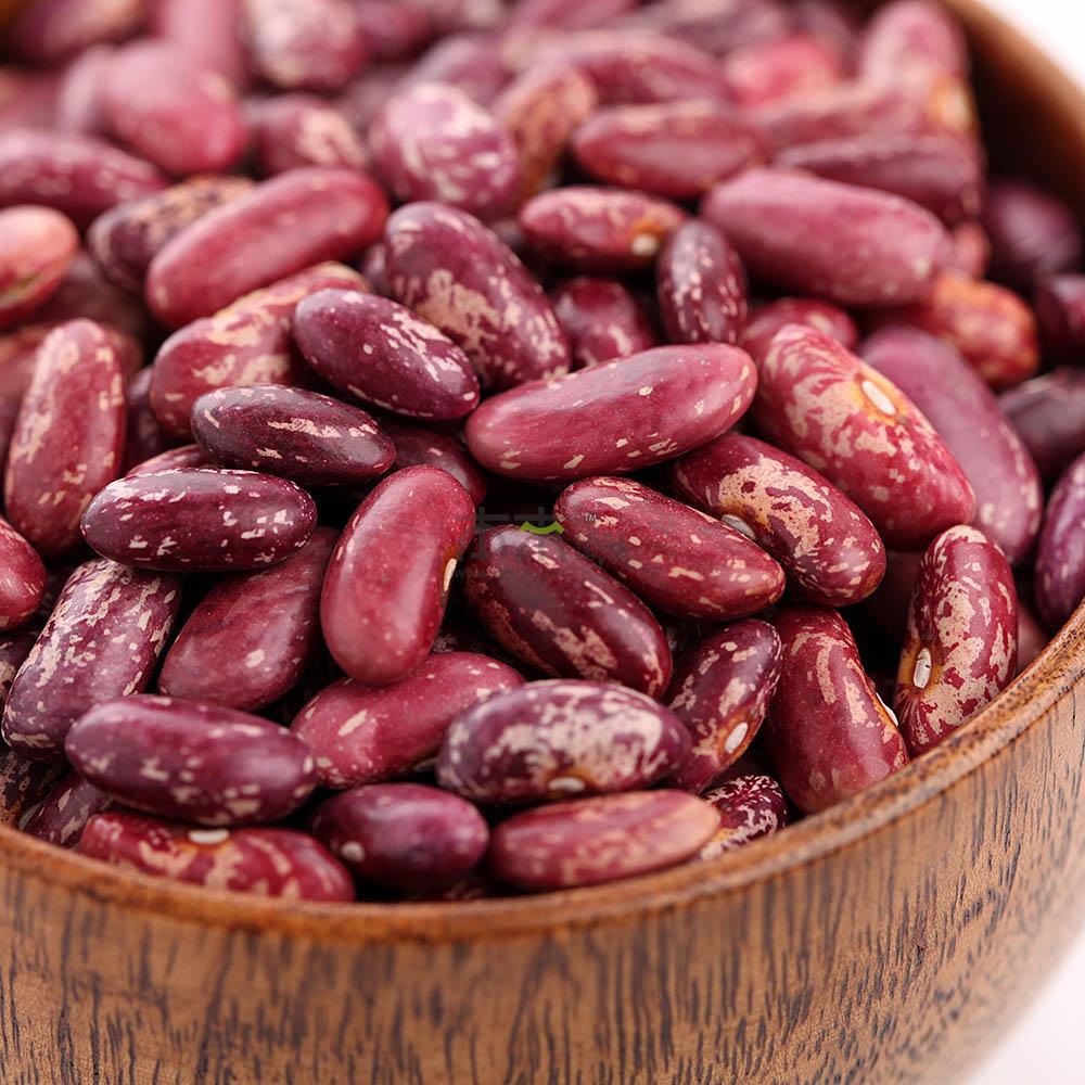 批发低温烘焙芸豆 磨粉 现磨豆浆熟芸豆 熟五谷杂粮