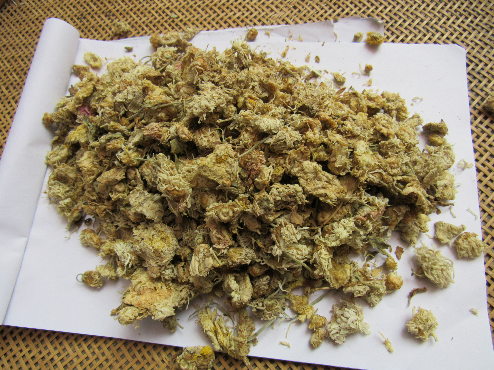 批发中药材白菊花药用白菊花2016年新货