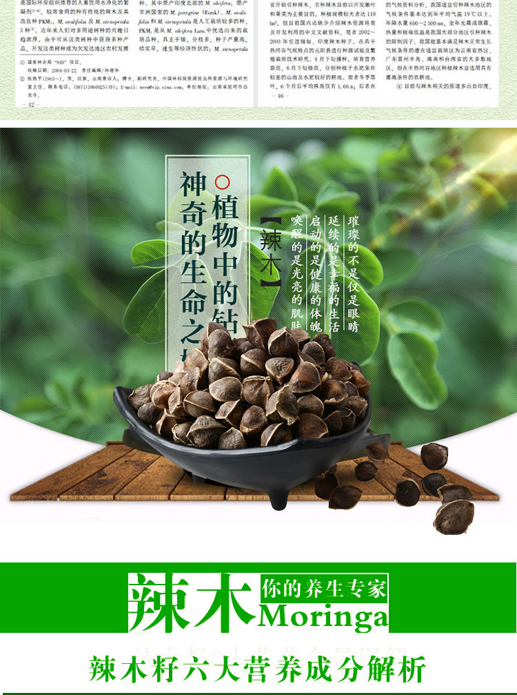 400克印度特级辣木子 礼盒辣木籽 天然精选辣木种子代发 辣木种子