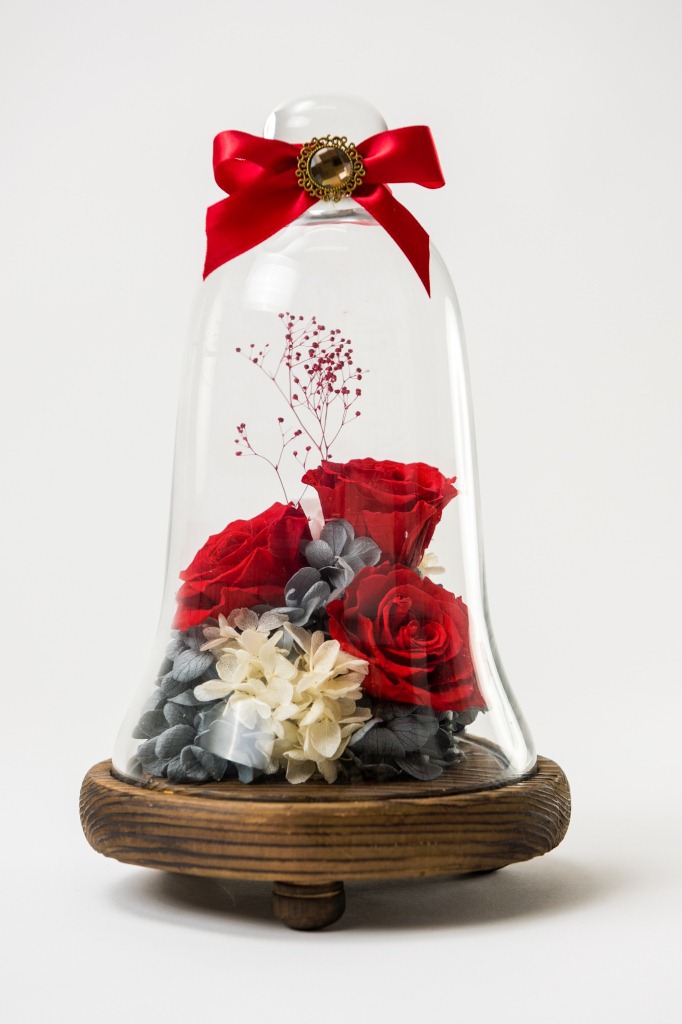日本进口永生花红玫瑰花情人节圣诞节礼物玻璃罩可定制顺丰