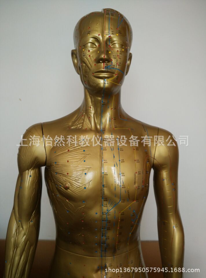 针灸铜人模型穴位铜人自然大178cm人体经络人体模型
