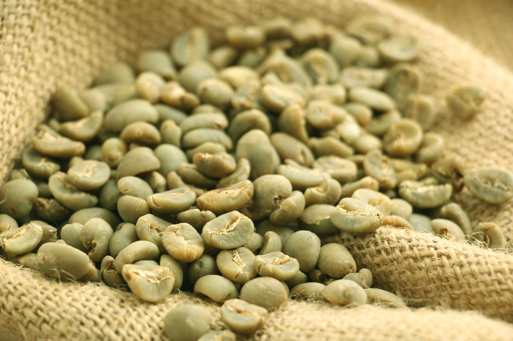 正宗印度尼西亚苏门答腊黄金曼特宁生豆 1