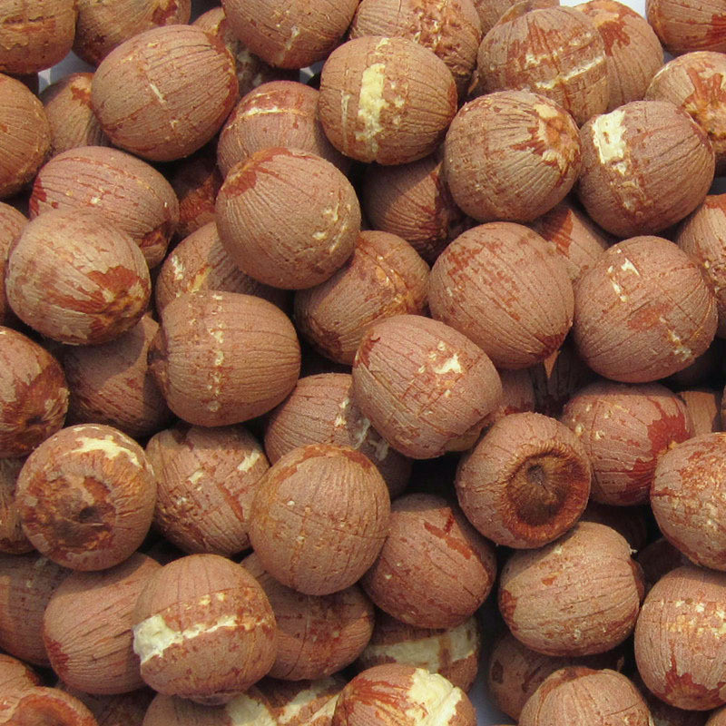 洞庭湖红莲子带芯湘莲500g红皮寸三莲湖南特产无硫干货红皮莲子