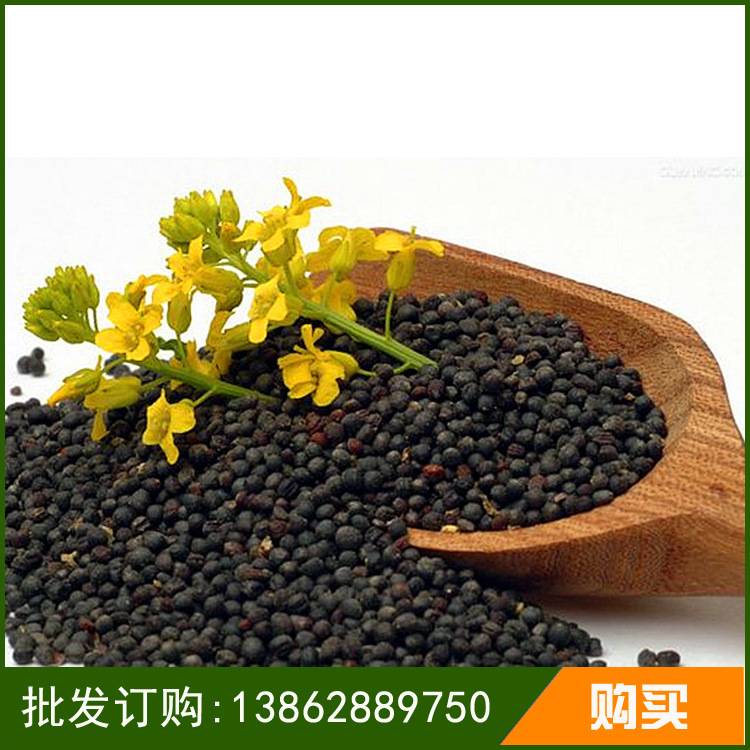 海门市悦来镇东萍农副产品经营部 供应信息 其他农作物种子,种苗 油