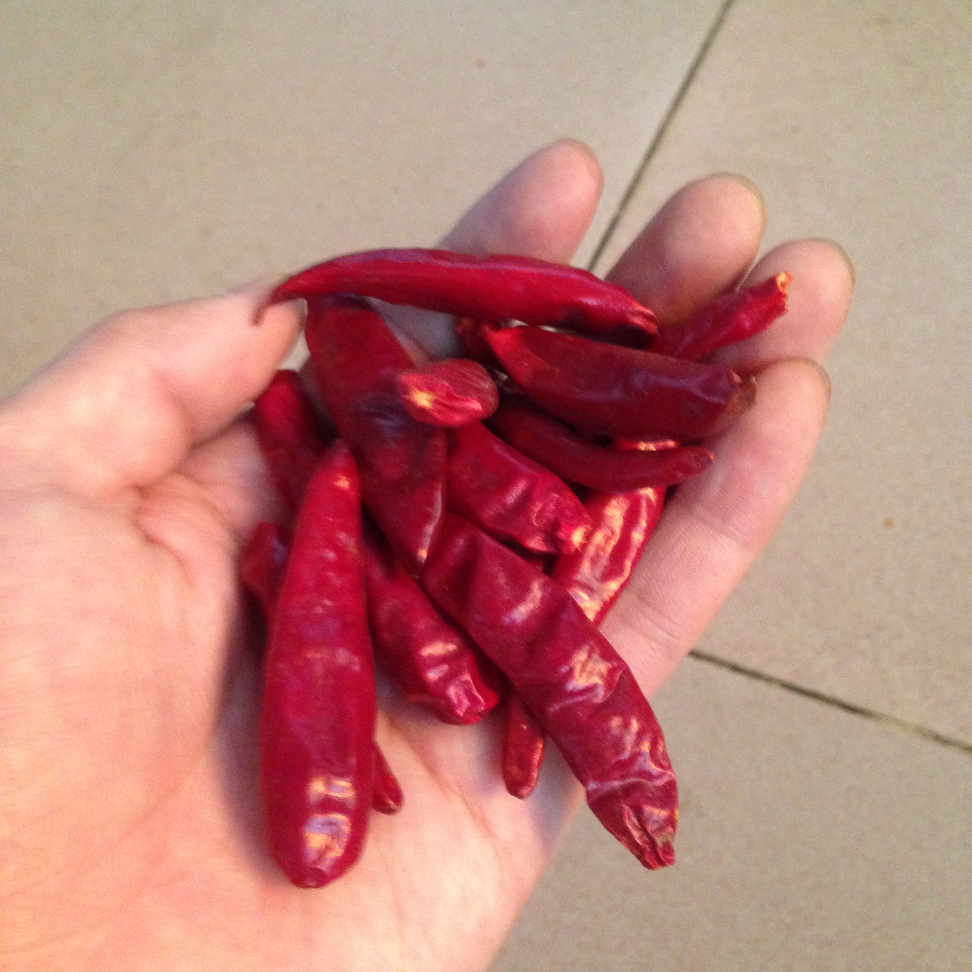 河南天鹰小椒新一代辣椒干 中辣川菜中餐酒店专用调味品 可切段