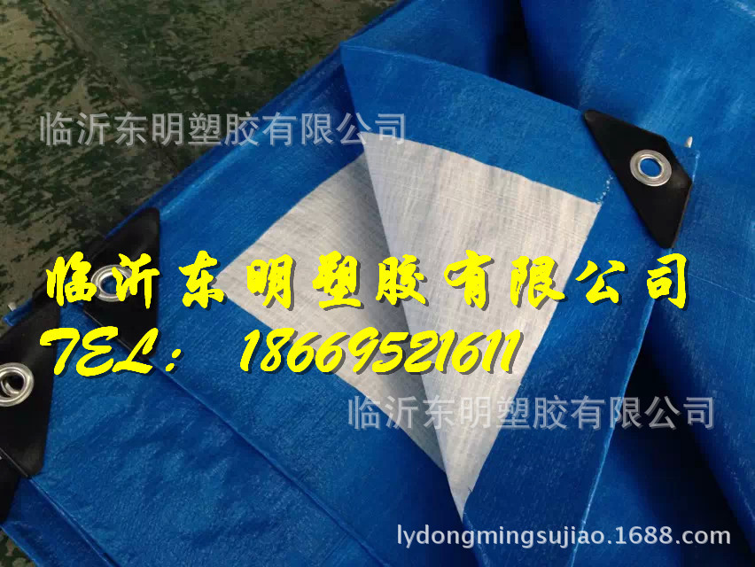 Linyi Excellent PE Tarpaulin Linyi Export Tarpaulin Support Customized Blue and White Tarpaulin