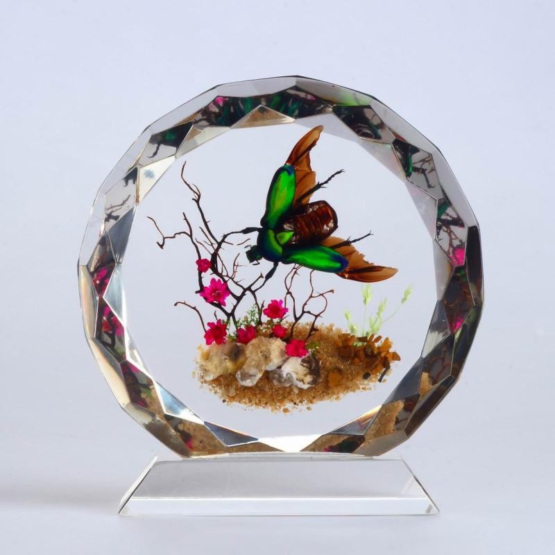 透明亚克力制作动物标本展示盒,水晶制蜜蜂