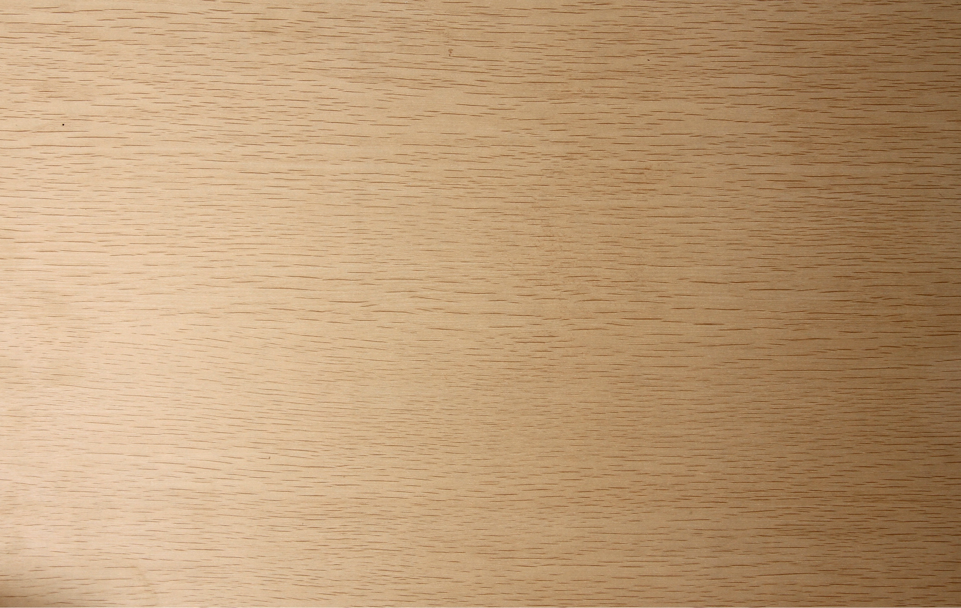 包邮 优品通用型移动白板架 伸缩支架式