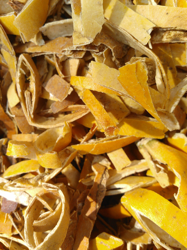 厂家直供 中药材瓜蒌皮 精选散装瓜蒌皮 批发瓜蒌皮 量大从优