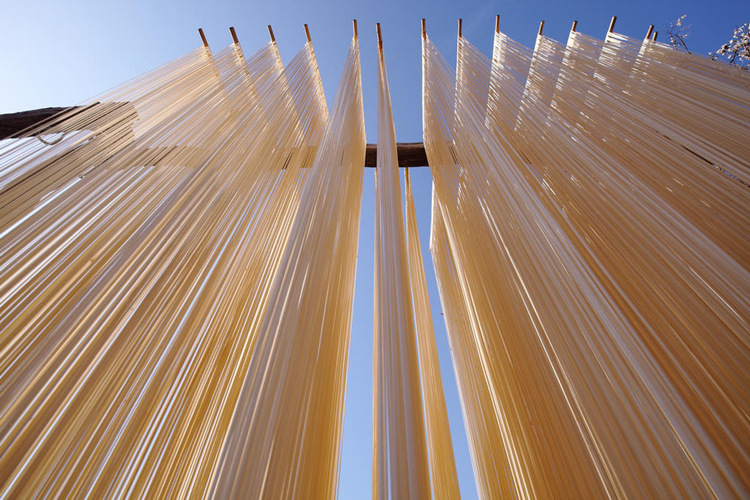 兴厨鸡蛋挂面9,12公斤装厂家特价批发干挂面 普通挂面包邮