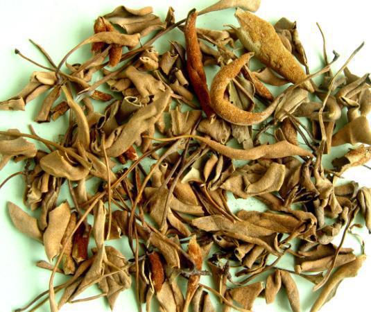 石韦 小叶石韦 石苇 石背柳 石兰 石伟 中草药材批发