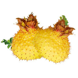 贵州水果特产_贵州水果特产价格_优质贵州水