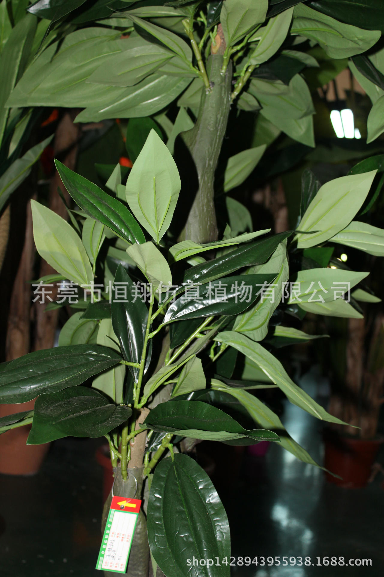 特价客厅摆设金钱树仿真玉桂树假树假花新款仿真玉桂书平安树