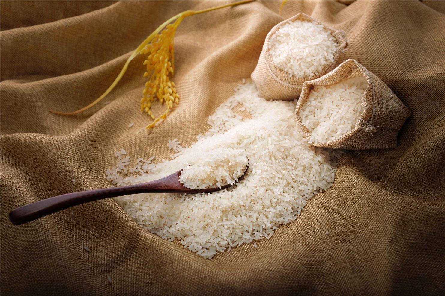 【厂家直销】一级大米 进口老挝贡米1kg真空包装 缅禾有机大米