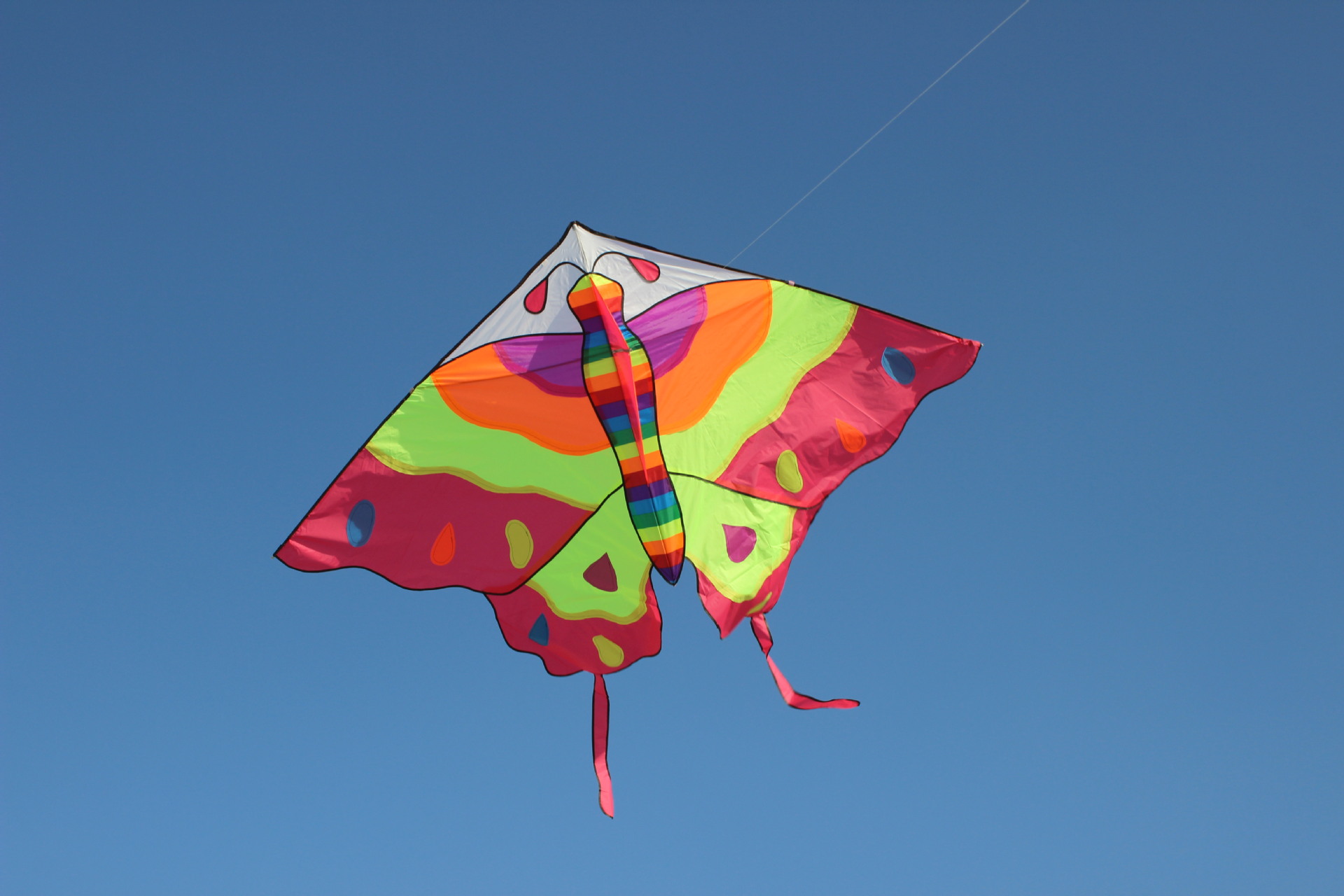 蝴蝶风筝 潍坊风筝批发 新款大蝴蝶 微风易飞