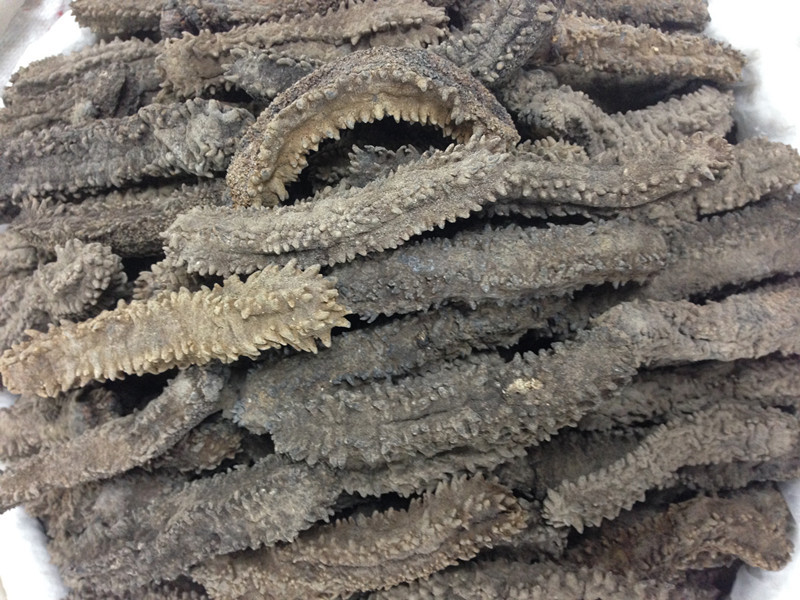 1吨方刺参足干刺好发大