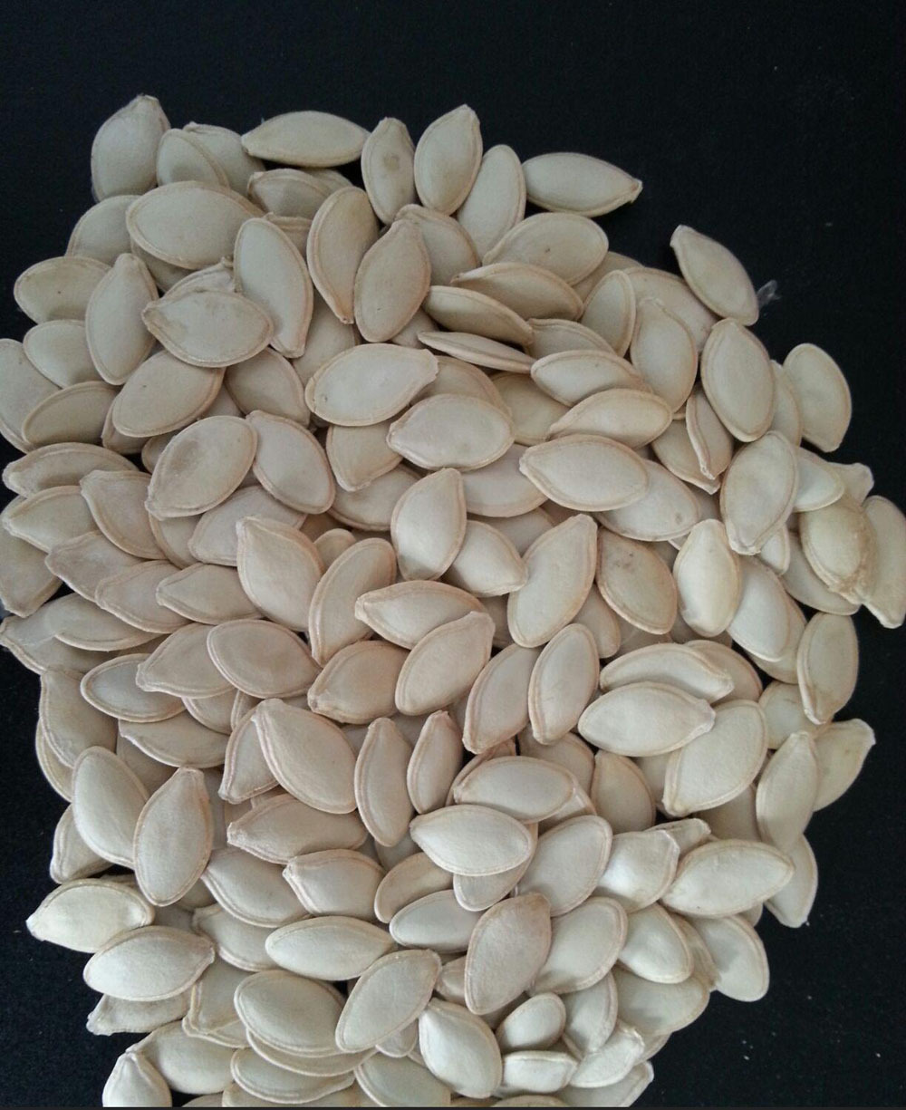 光板葫芦瓜子 厂家直供 品质保证 口感满意 生葫芦籽