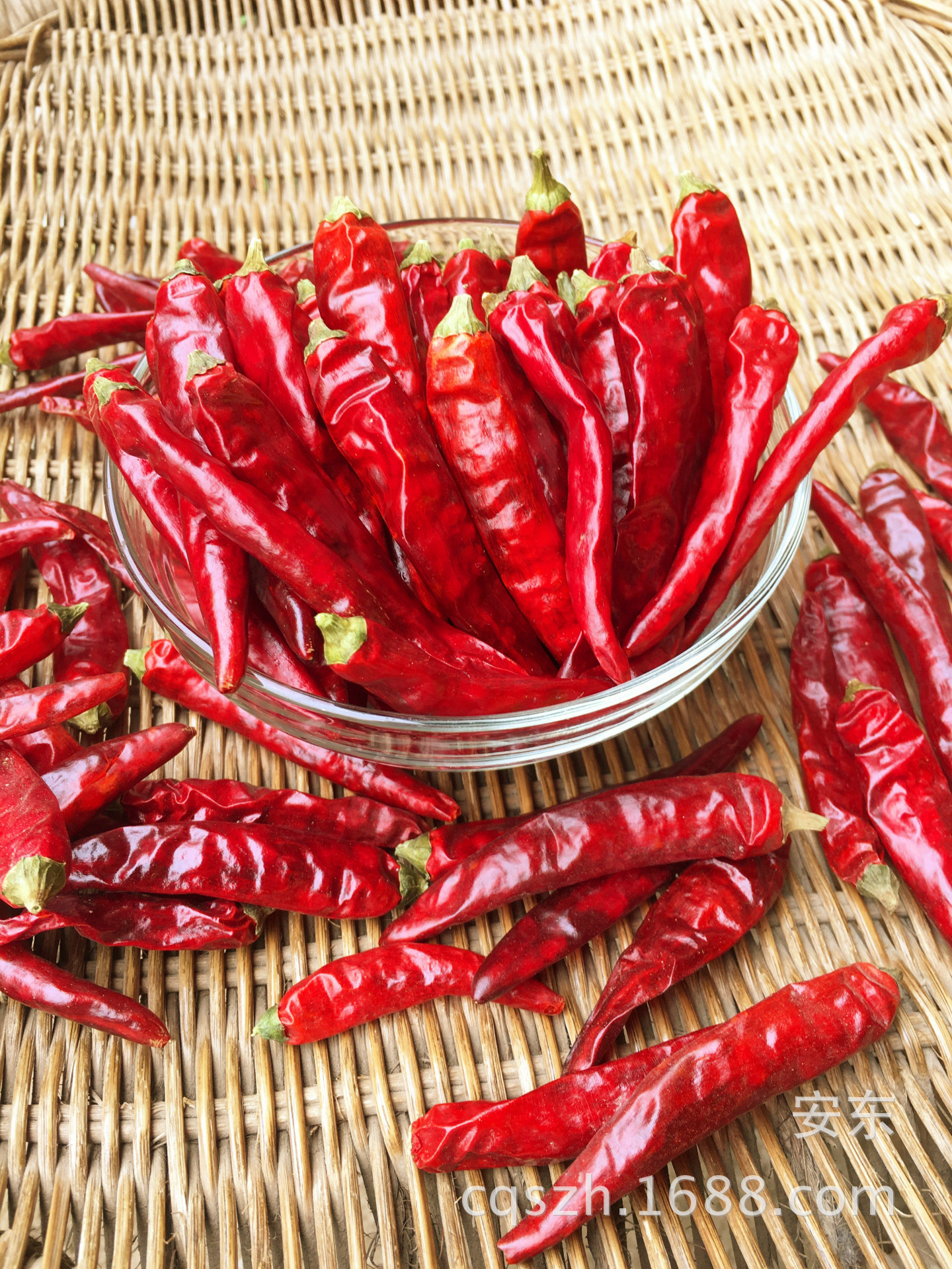 供应特香艳椒石柱红5号 香辣 耐煮 武汉鸭脖 重庆火锅专用