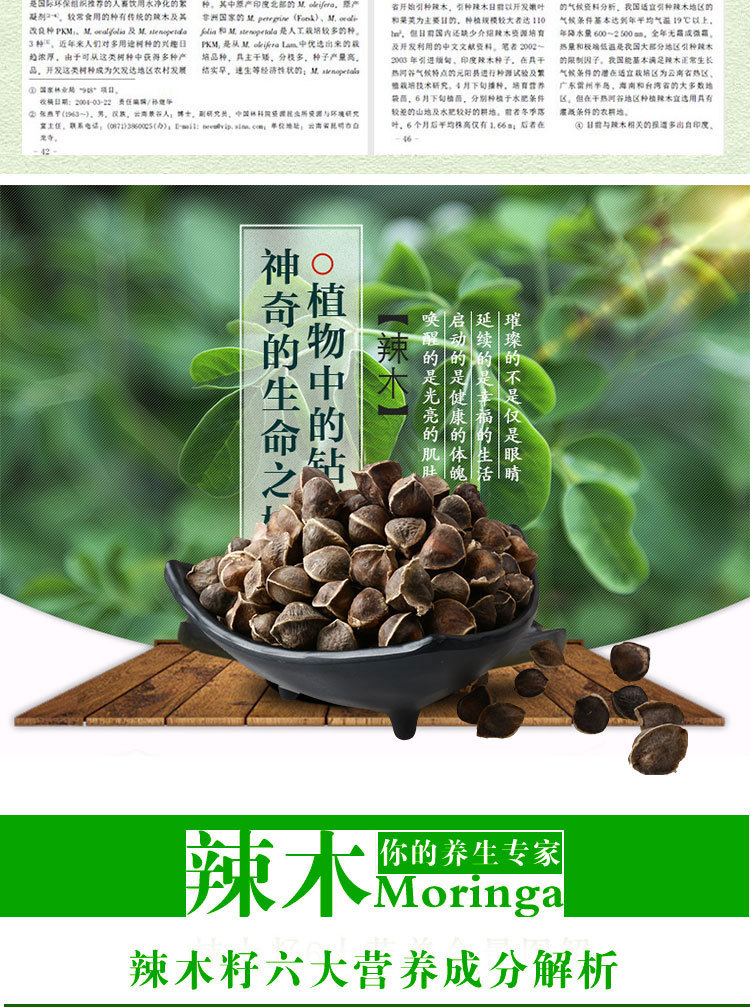 100克印度特级辣木子 非洲辣木籽 天然精选辣木种子代发 辣木种子