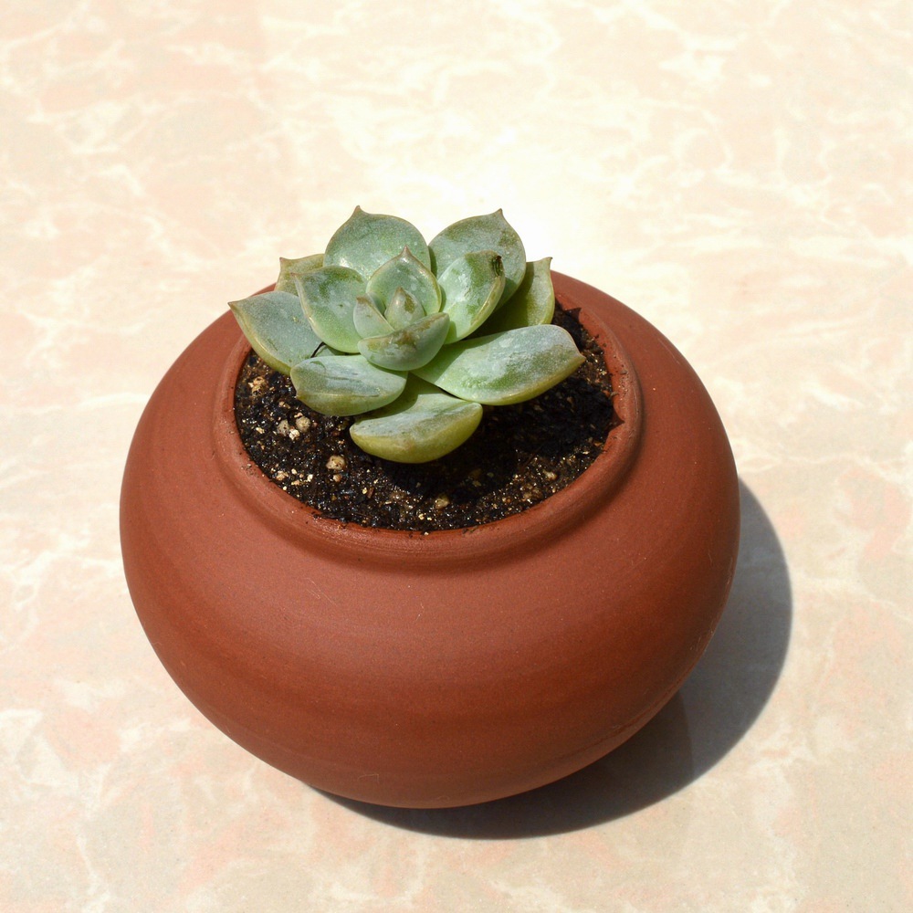 多肉植物花器苹果形陶土紫砂花盆陶瓷小花盆批发diy可画画