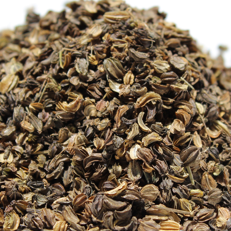 羌活种子 宽叶羌活种子 基地直发,量大从优