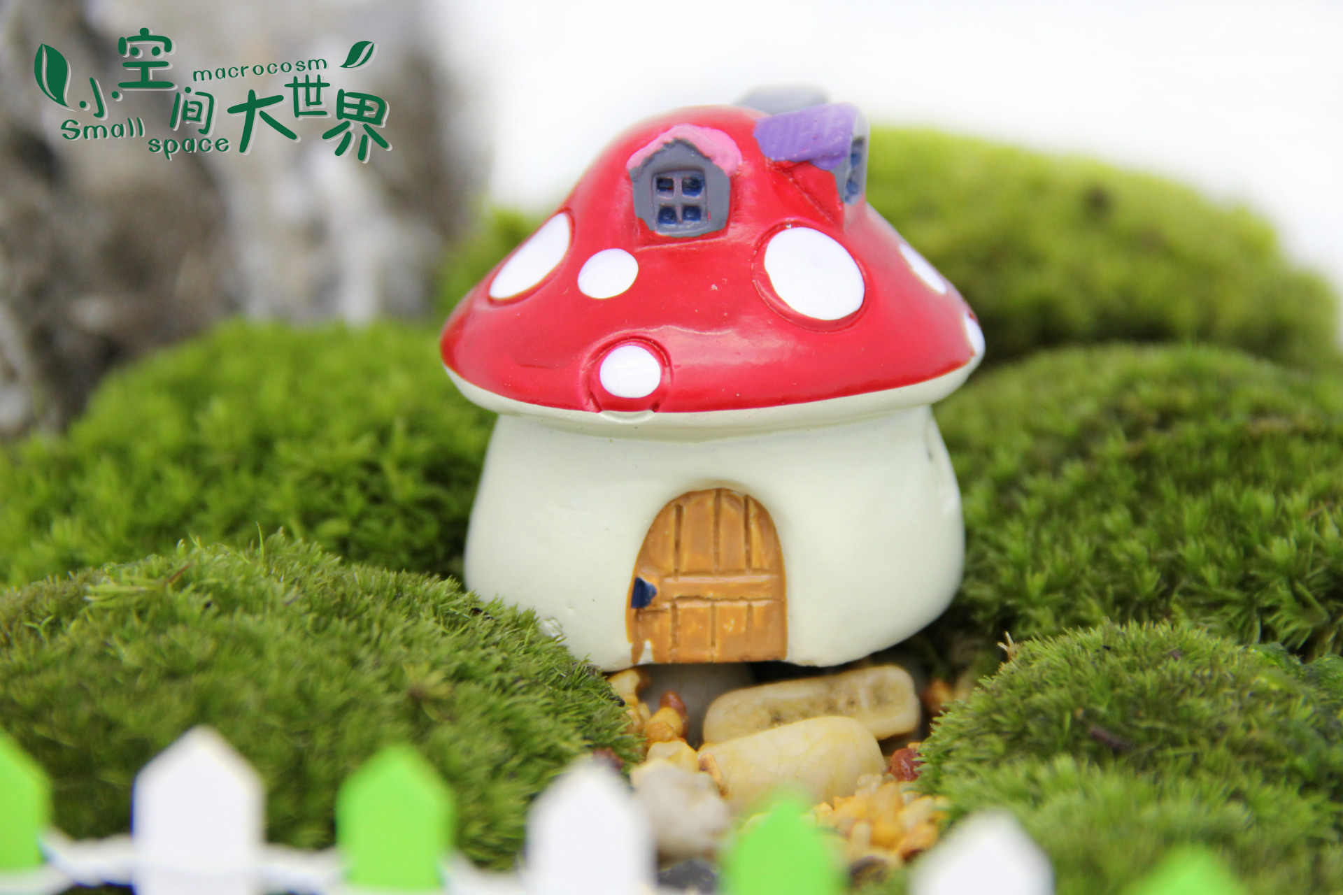 苔藓微景观生态瓶装饰房屋 蘑菇造型小房子 diy蘑菇摆件 创意小屋