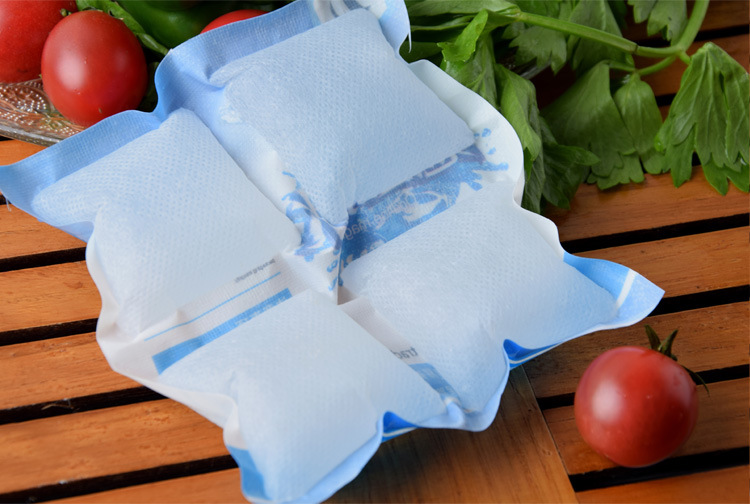 大连魔法奇冰海鲜食品冰袋运输樱桃降温保鲜冷藏非注水冰袋