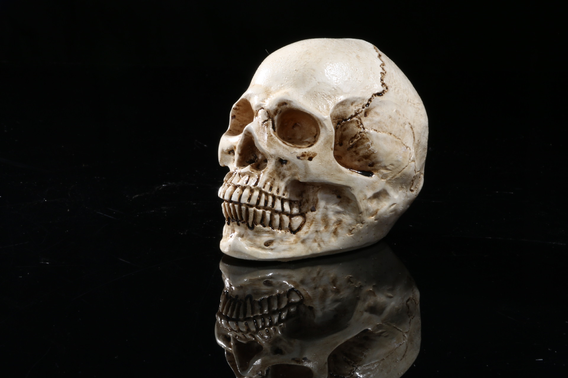 万圣节道具速卖通骷髅头骨 家居摆饰医学教学骷髅头树脂骷髅头