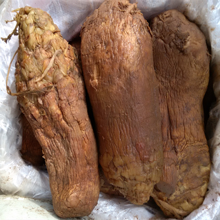 四川特产散装五香大头菜酱腌菜火锅料调汤餐饮饭店调味品