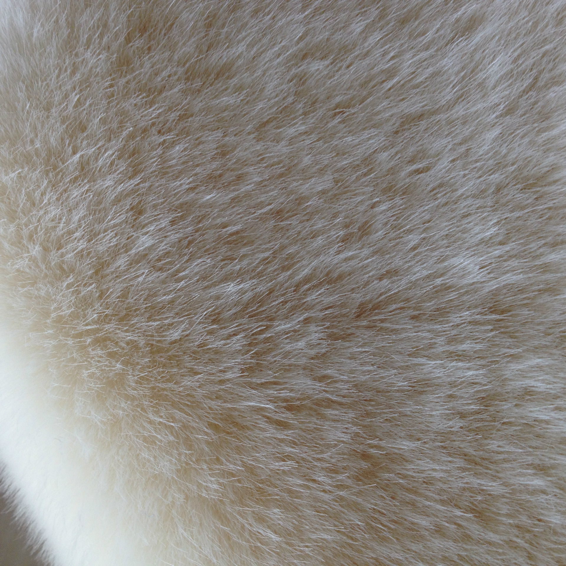 供应 米白色 仿兔毛 服装用料 仿真皮草 长毛绒 毛领